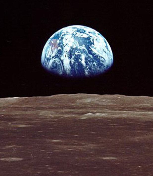 End ecocide